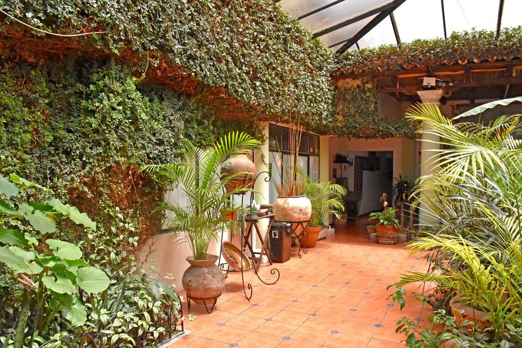 Hotel San Luis San Cristobal de las Casas Ngoại thất bức ảnh